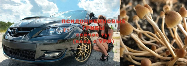 не бодяженный Михайлов