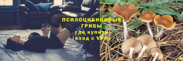 кокс Нея
