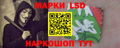 индика Дубна