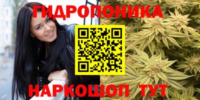 индика Дубна