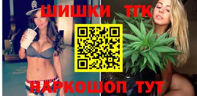 индика Дубна
