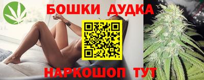 индика Дубна