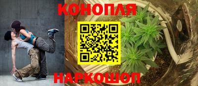 индика Дубна