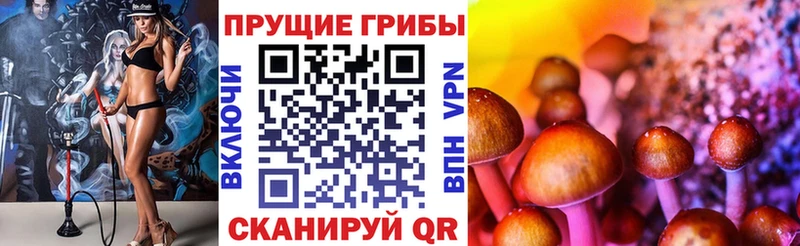 Галлюциногенные грибы GOLDEN TEACHER  купить   Нововоронеж 