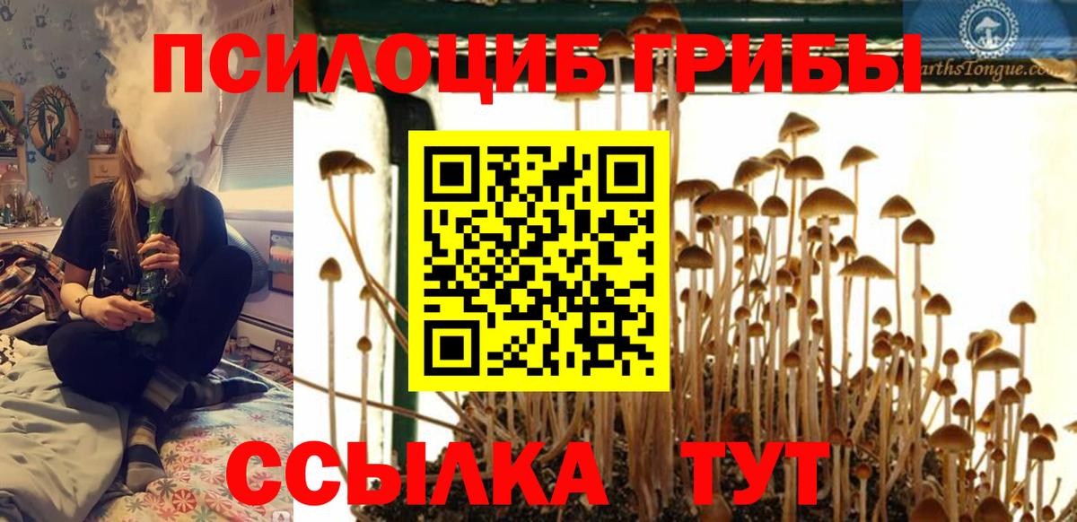 Нововоронеж  Кокаин  Кокаин  Купить закладку  MDMA  Меф МЯУ МЯУ   Вход с VPN  МЕТАМФЕТАМИН  Alpha PVP СК кристаллы  НБОМе  ГАШ  Канабис 