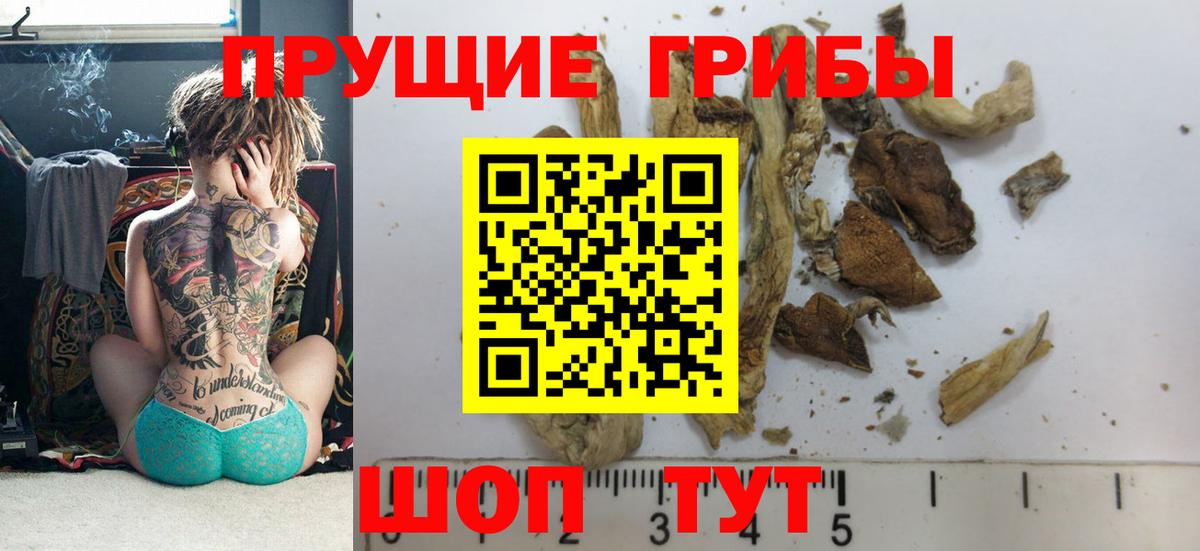 Нововоронеж  Галлюциногенные грибы мухоморы  Псилоцибиновые грибы Magic Shrooms  Вход с VPN 