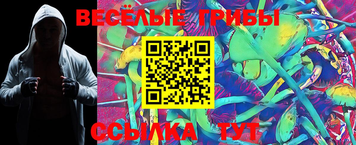 Галлюциногенные грибы Cubensis Нововоронеж