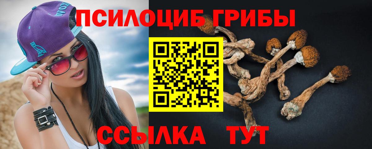 Галлюциногенные грибы мухоморы  Псилоцибиновые грибы Psilocybe  Нововоронеж 