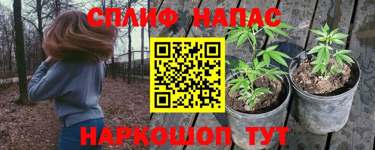 Бошки марихуана AK-47 Нововоронеж